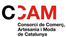 logo ccam